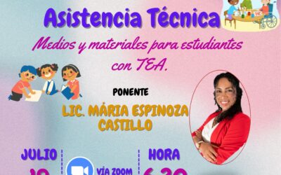 ASISTENCIA TECNICA